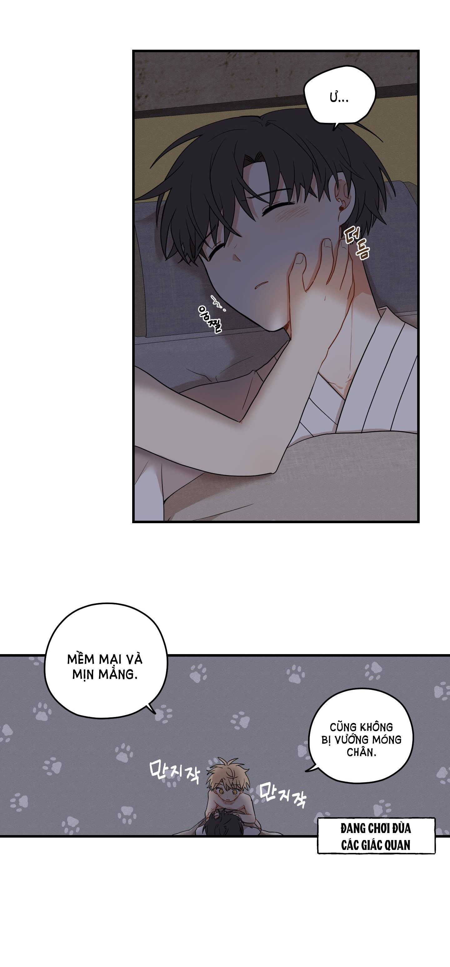 đọc truyện Dưới Tán Hoa Liên Kiều Chương 28.2 ảnh 19 tại Thiên Thai Truyện