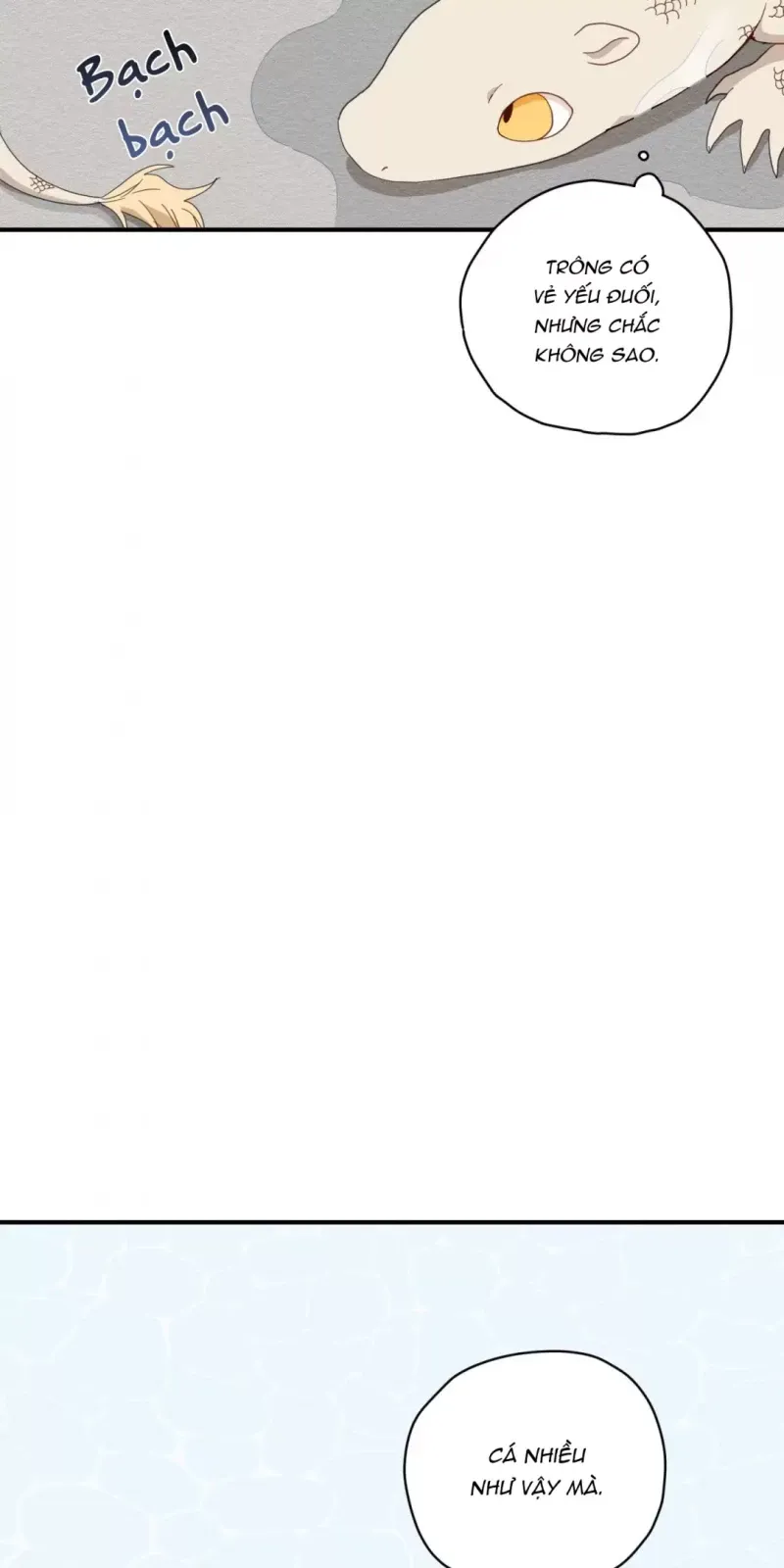 đọc truyện Dưới Tán Hoa Liên Kiều Chương 3.5 ảnh 14 tại Thiên Thai Truyện