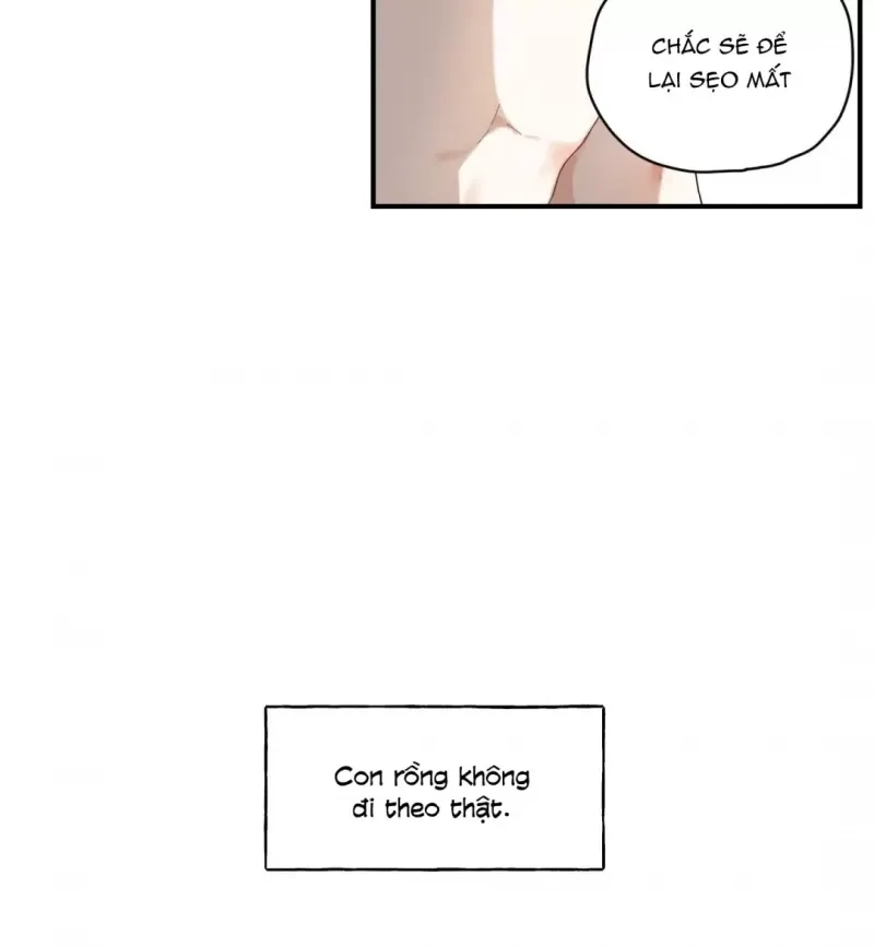 đọc truyện Dưới Tán Hoa Liên Kiều Chương 3 ảnh 21 tại Thiên Thai Truyện