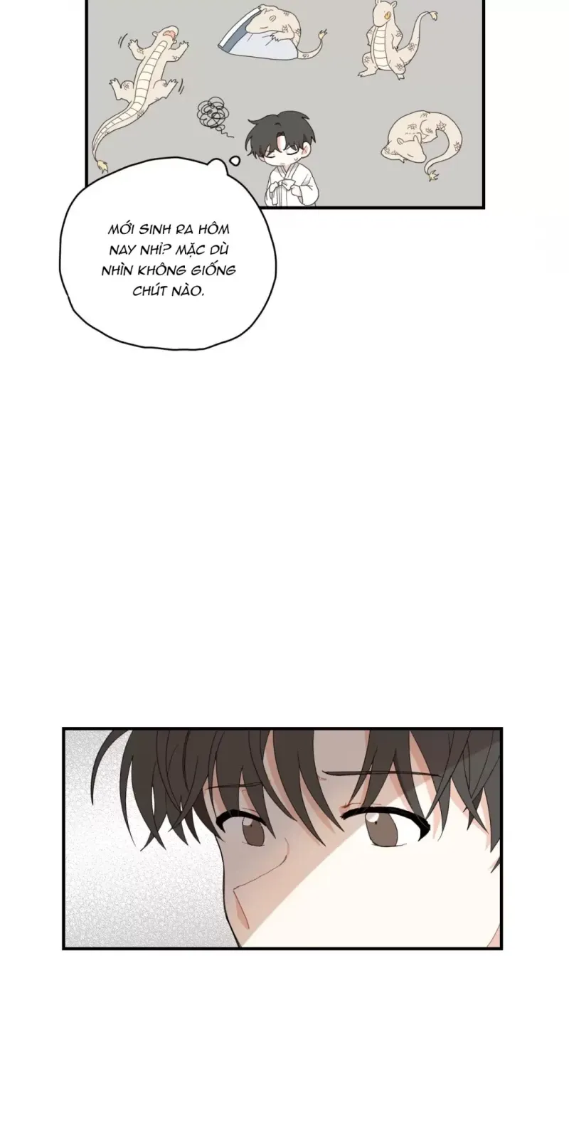 đọc truyện Dưới Tán Hoa Liên Kiều Chương 3 ảnh 23 tại Thiên Thai Truyện