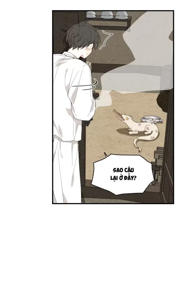 đọc truyện Dưới Tán Hoa Liên Kiều Chương 3 ảnh 35 tại Thiên Thai Truyện