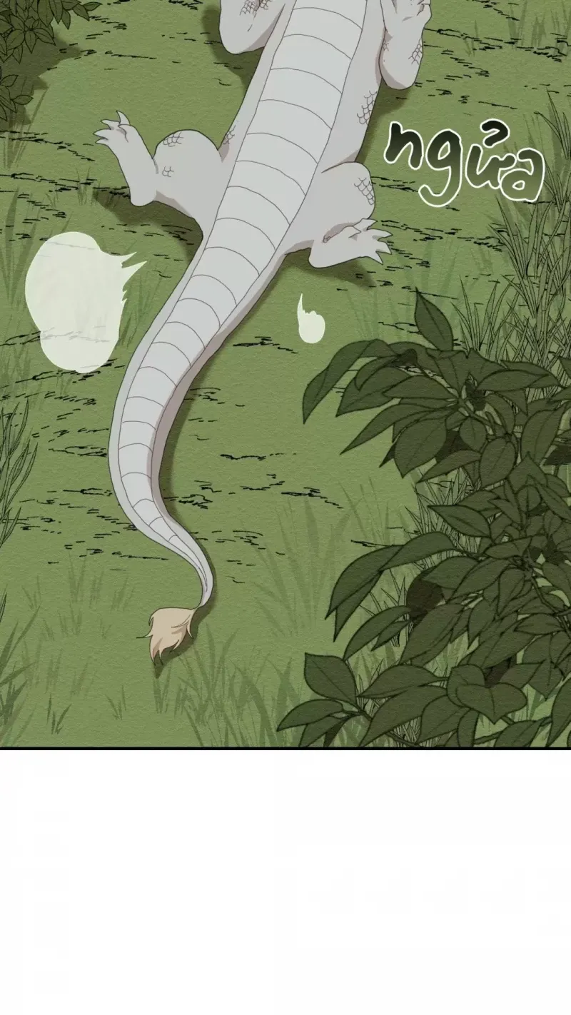 đọc truyện Dưới Tán Hoa Liên Kiều Chương 3 ảnh 8 tại Thiên Thai Truyện