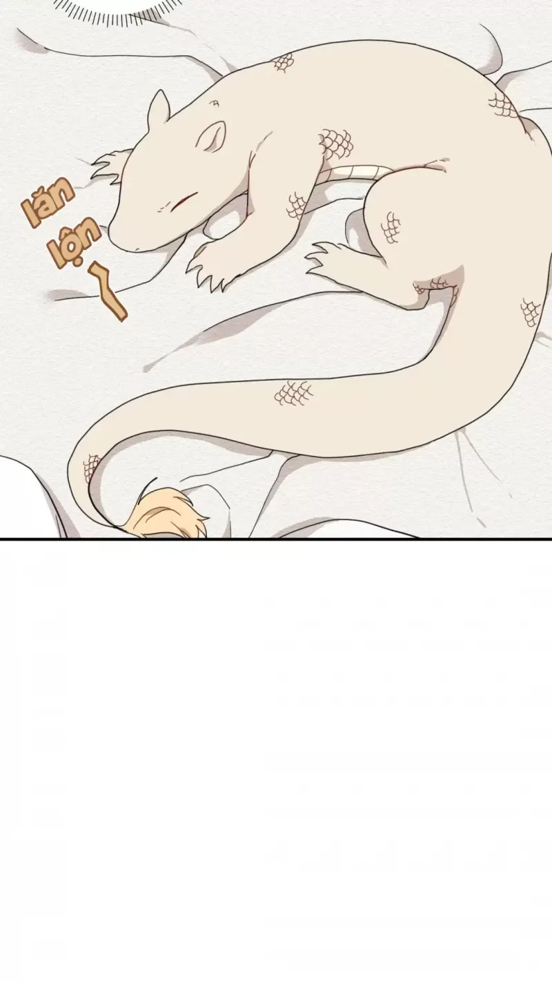 đọc truyện Dưới Tán Hoa Liên Kiều Chương 4.5 ảnh 18 tại Thiên Thai Truyện