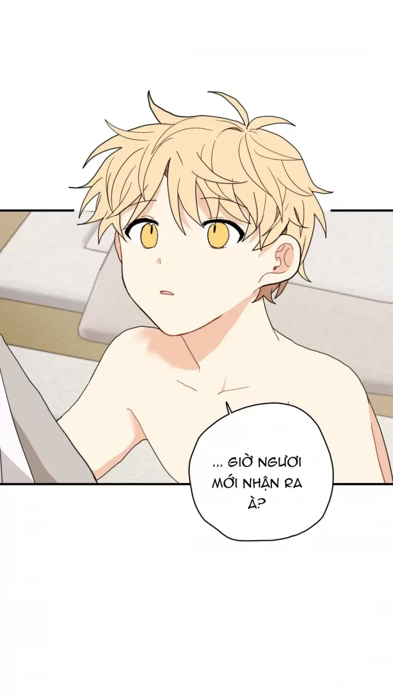 đọc truyện Dưới Tán Hoa Liên Kiều Chương 4.5 ảnh 21 tại Thiên Thai Truyện