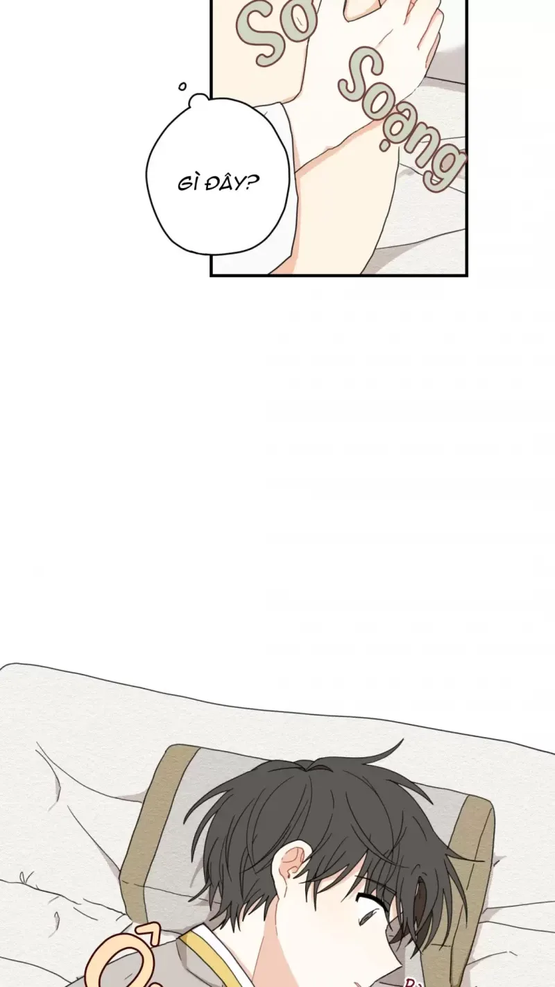 đọc truyện Dưới Tán Hoa Liên Kiều Chương 4 ảnh 19 tại Thiên Thai Truyện