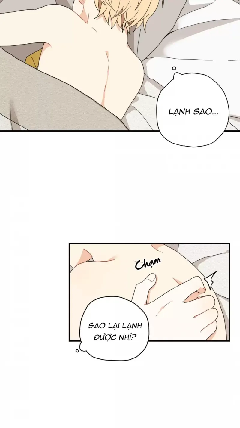 đọc truyện Dưới Tán Hoa Liên Kiều Chương 4 ảnh 23 tại Thiên Thai Truyện