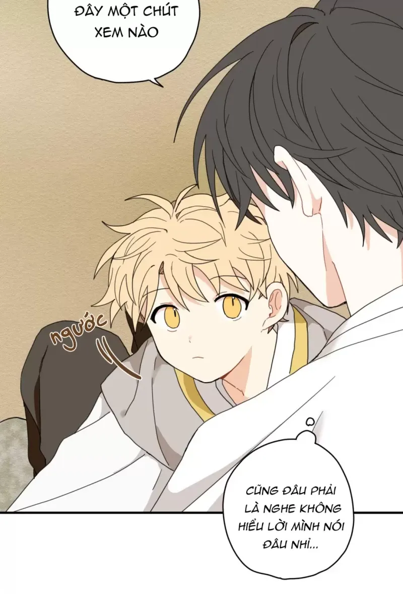 đọc truyện Dưới Tán Hoa Liên Kiều Chương 4 ảnh 30 tại Thiên Thai Truyện