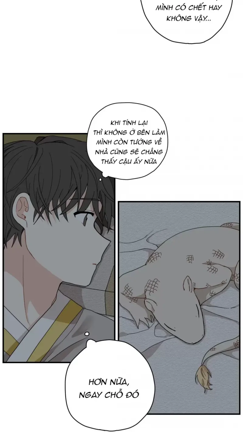 đọc truyện Dưới Tán Hoa Liên Kiều Chương 4 ảnh 11 tại Thiên Thai Truyện