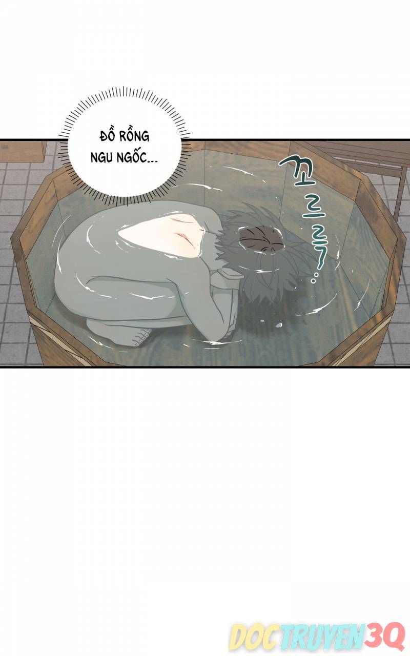 đọc truyện Dưới Tán Hoa Liên Kiều Chương 41.1 ảnh 9 tại Thiên Thai Truyện