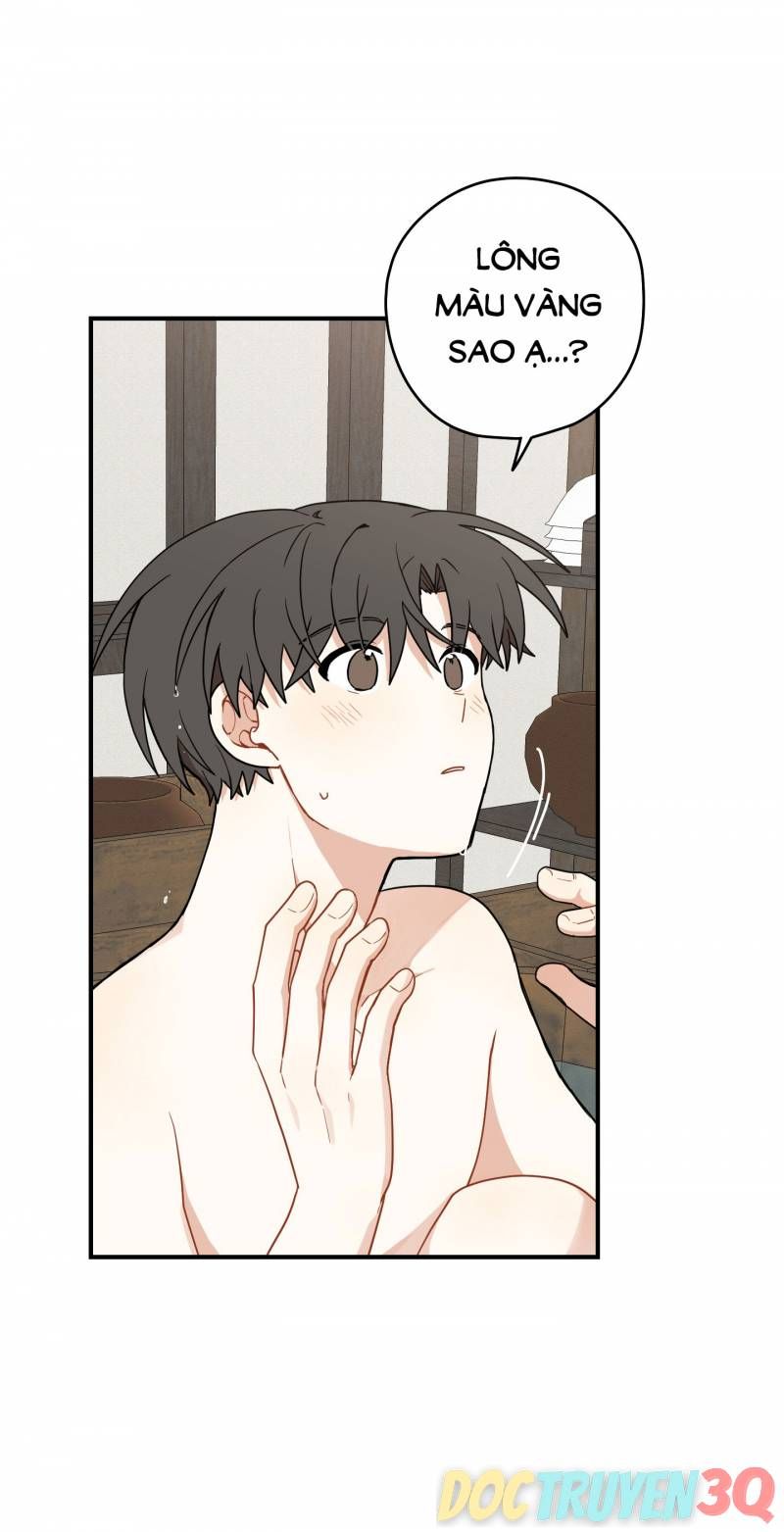 đọc truyện Dưới Tán Hoa Liên Kiều Chương 41.2 ảnh 4 tại Thiên Thai Truyện