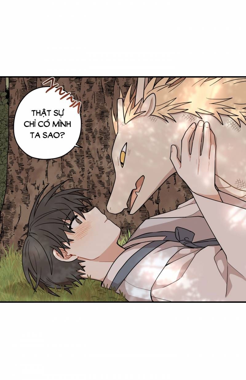 đọc truyện Dưới Tán Hoa Liên Kiều Chương 47.5 ảnh 12 tại Thiên Thai Truyện