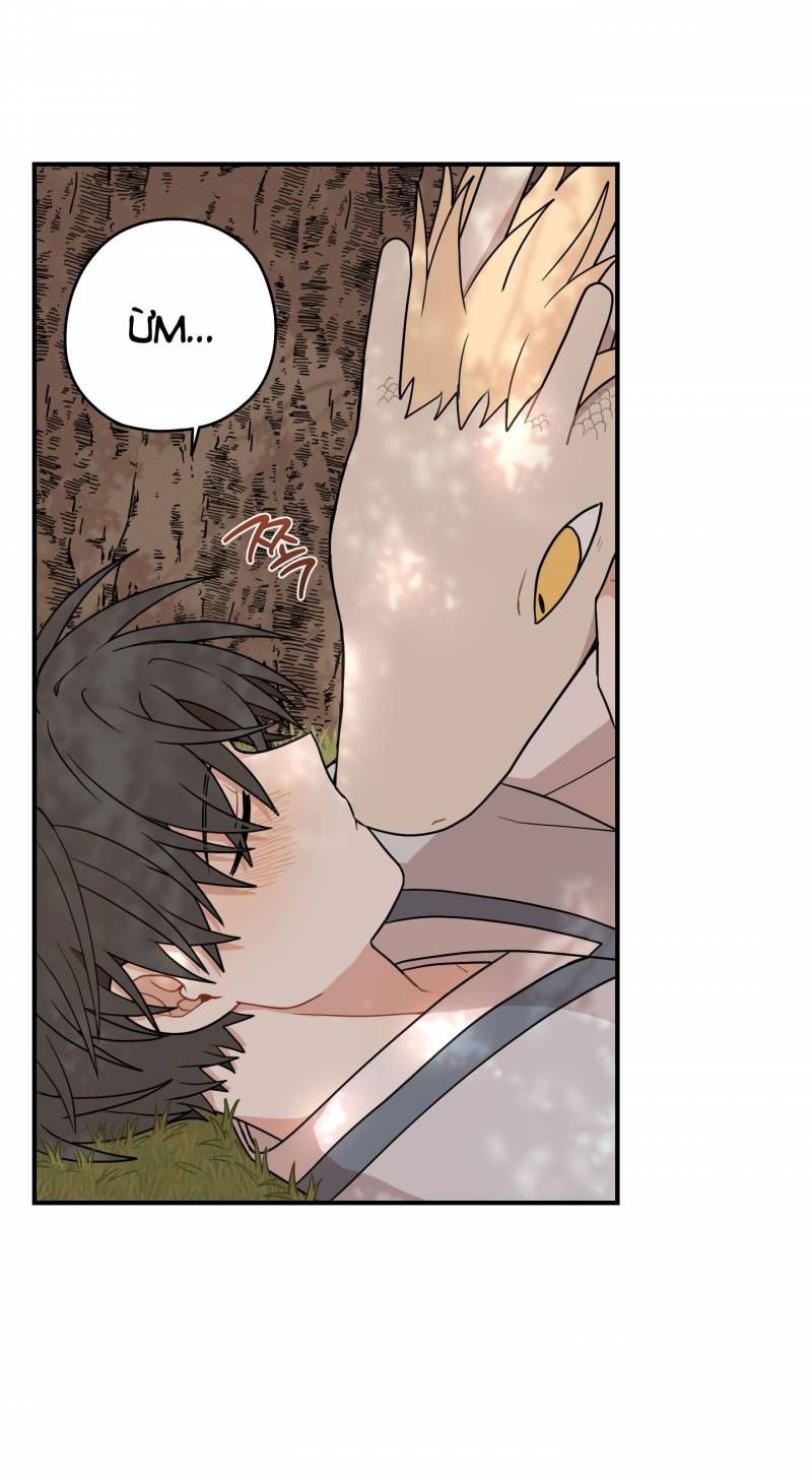 đọc truyện Dưới Tán Hoa Liên Kiều Chương 47.5 ảnh 13 tại Thiên Thai Truyện