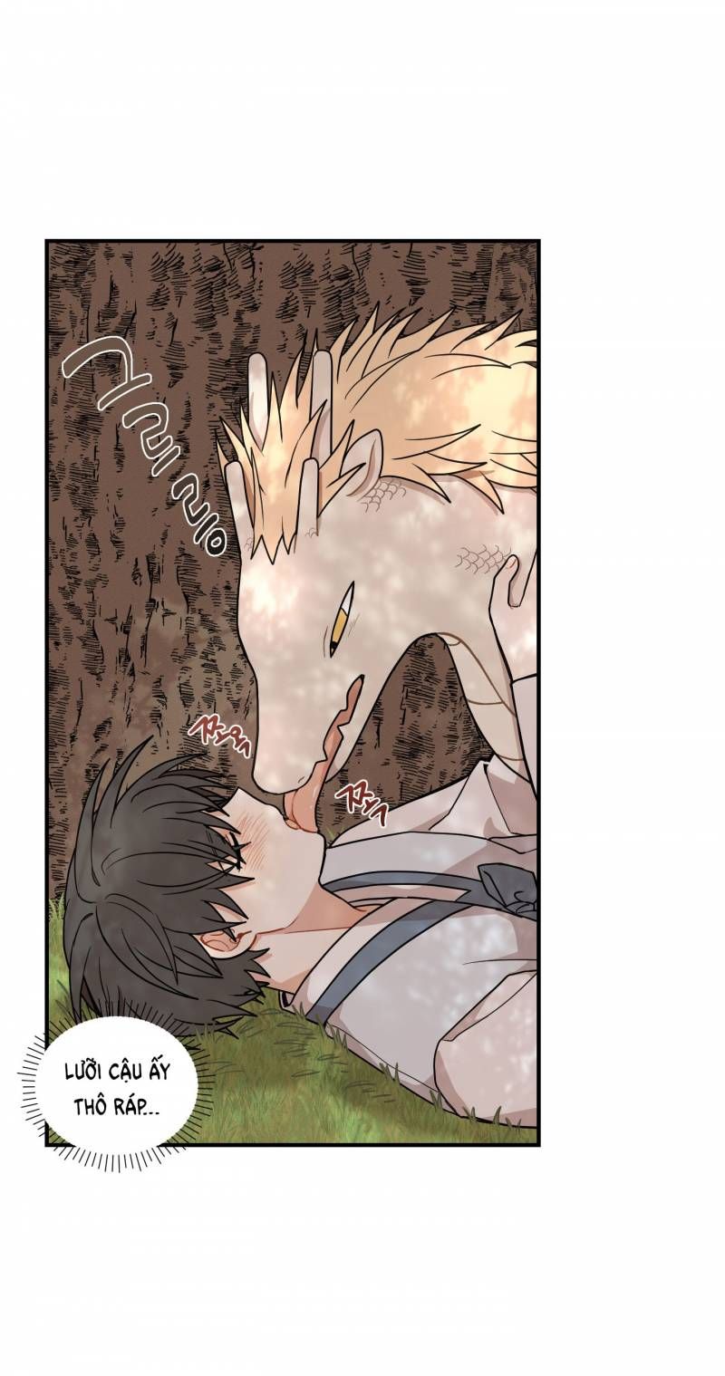 đọc truyện Dưới Tán Hoa Liên Kiều Chương 47.5 ảnh 16 tại Thiên Thai Truyện