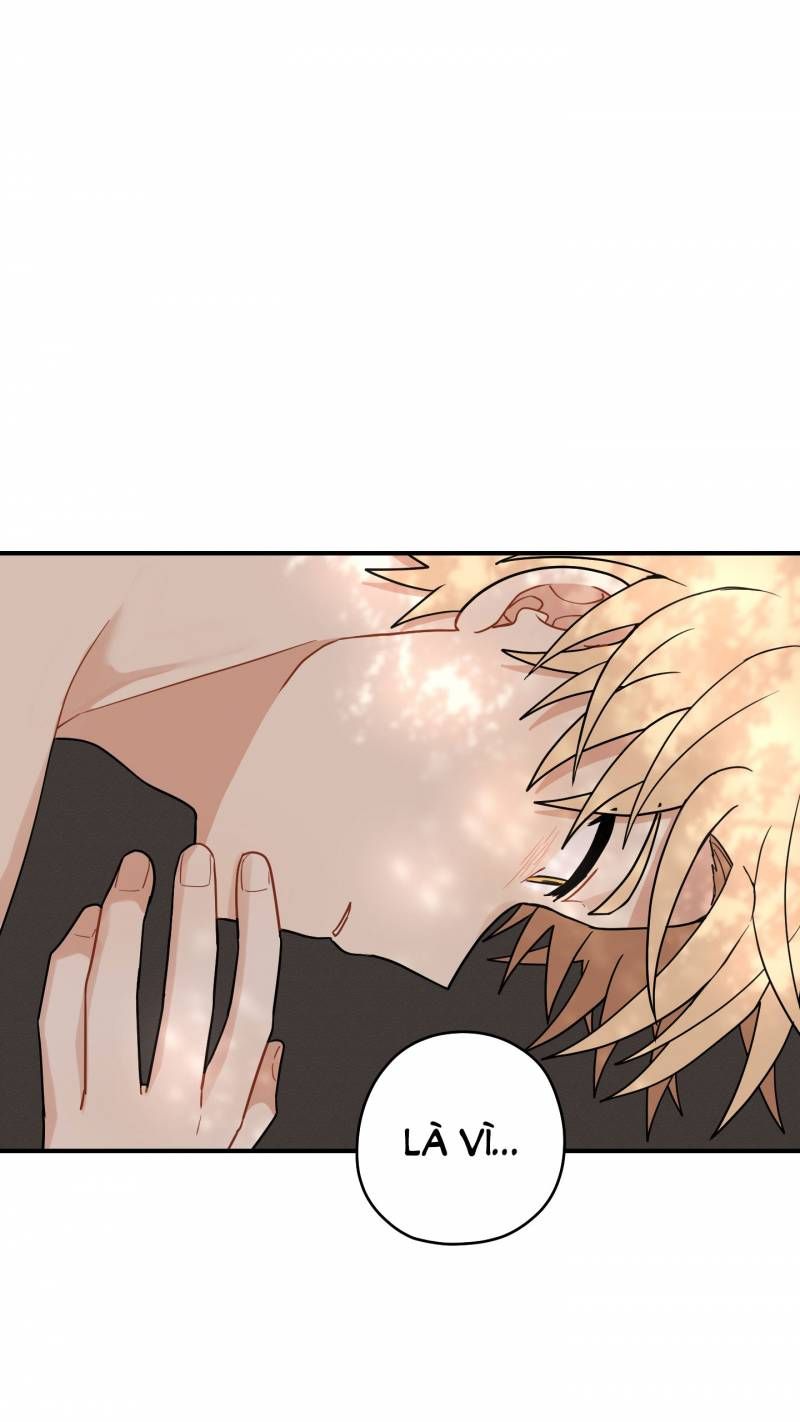 đọc truyện Dưới Tán Hoa Liên Kiều Chương 47.5 ảnh 22 tại Thiên Thai Truyện