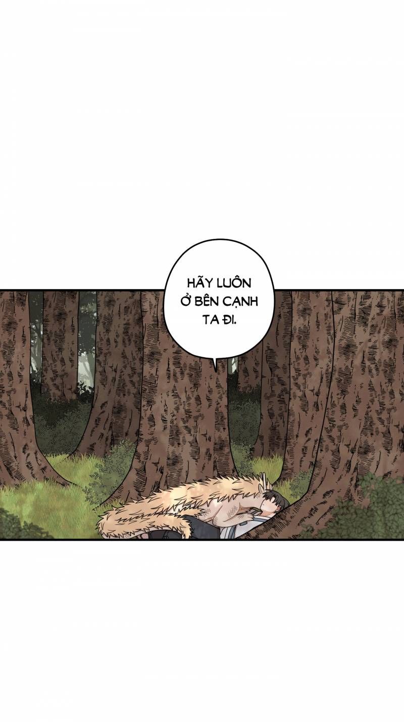 đọc truyện Dưới Tán Hoa Liên Kiều Chương 47.5 ảnh 5 tại Thiên Thai Truyện