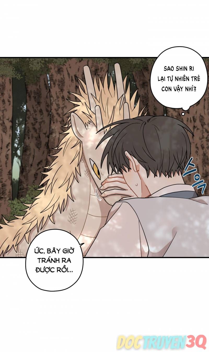 đọc truyện Dưới Tán Hoa Liên Kiều Chương 47 ảnh 17 tại Thiên Thai Truyện