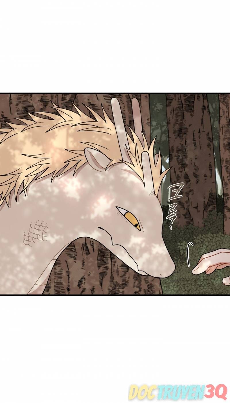 đọc truyện Dưới Tán Hoa Liên Kiều Chương 47 ảnh 21 tại Thiên Thai Truyện