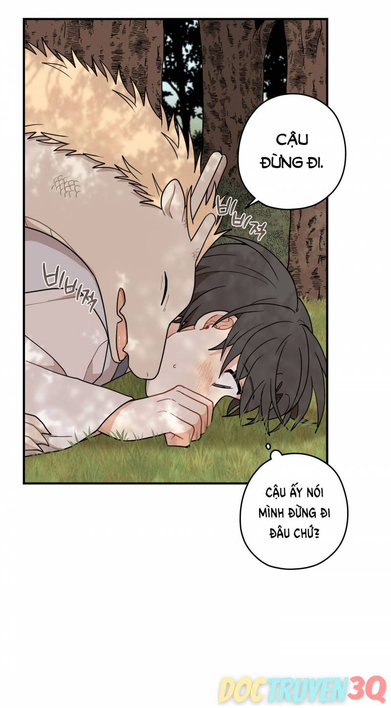 đọc truyện Dưới Tán Hoa Liên Kiều Chương 47 ảnh 8 tại Thiên Thai Truyện