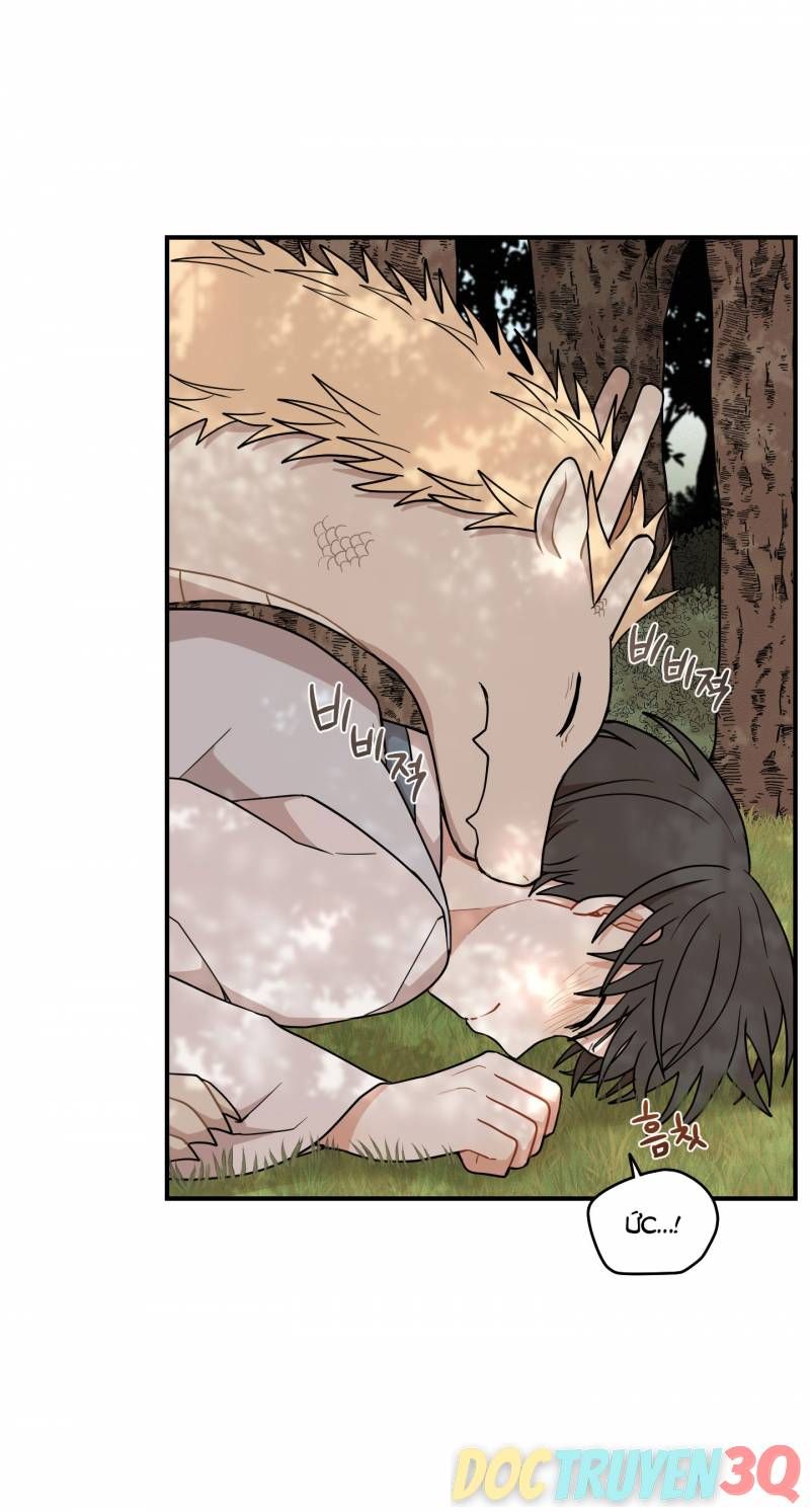 đọc truyện Dưới Tán Hoa Liên Kiều Chương 47 ảnh 9 tại Thiên Thai Truyện