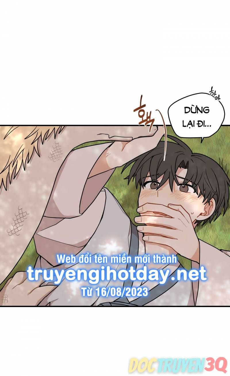 đọc truyện Dưới Tán Hoa Liên Kiều Chương 47 ảnh 11 tại Thiên Thai Truyện