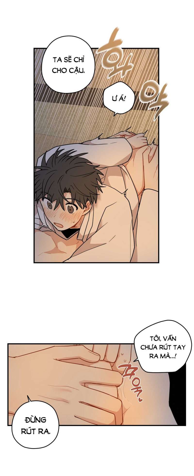 đọc truyện Dưới Tán Hoa Liên Kiều Chương 49.2 ảnh 34 tại Thiên Thai Truyện