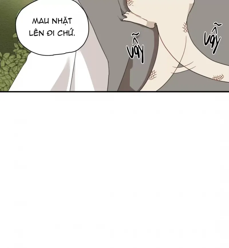 đọc truyện Dưới Tán Hoa Liên Kiều Chương 5.5 ảnh 14 tại Thiên Thai Truyện