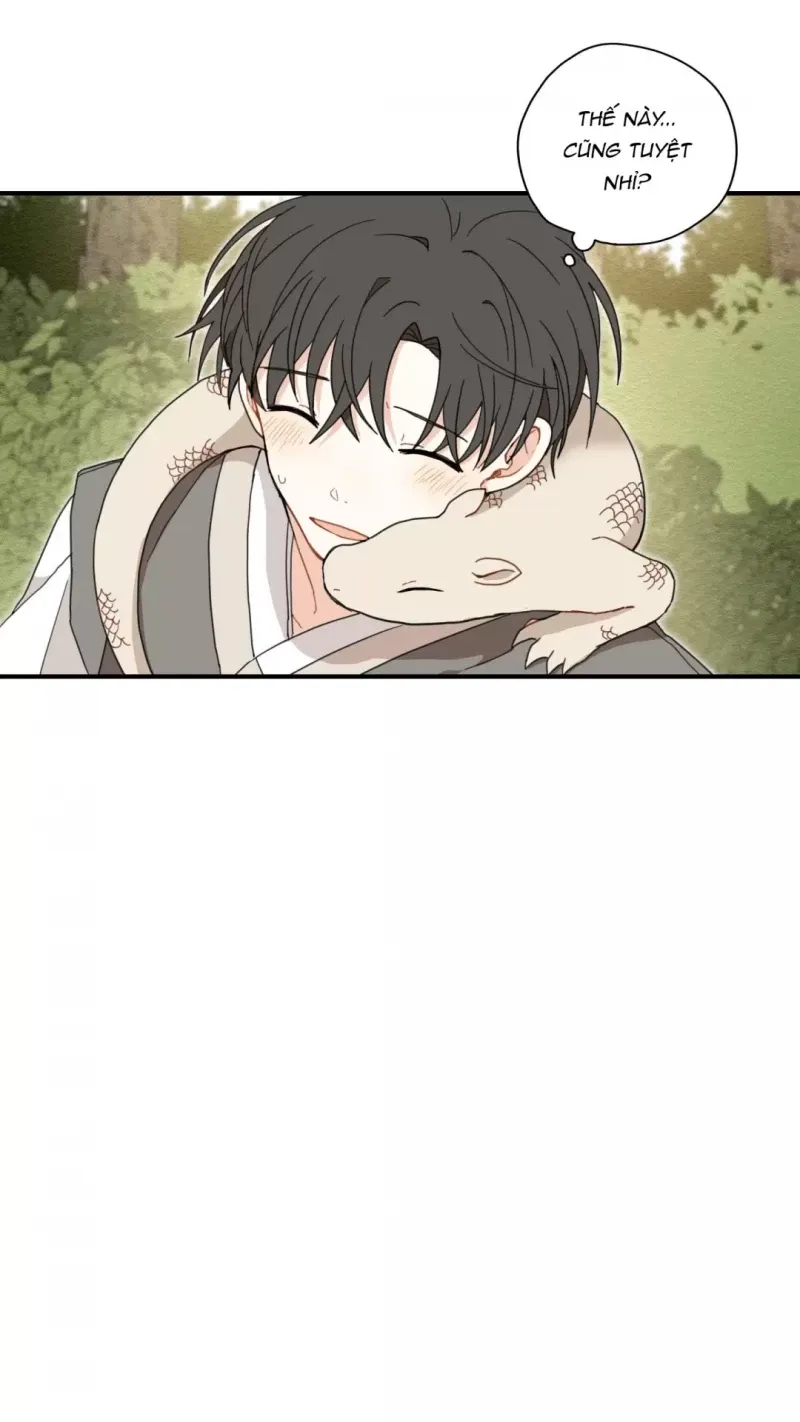 đọc truyện Dưới Tán Hoa Liên Kiều Chương 5.5 ảnh 16 tại Thiên Thai Truyện