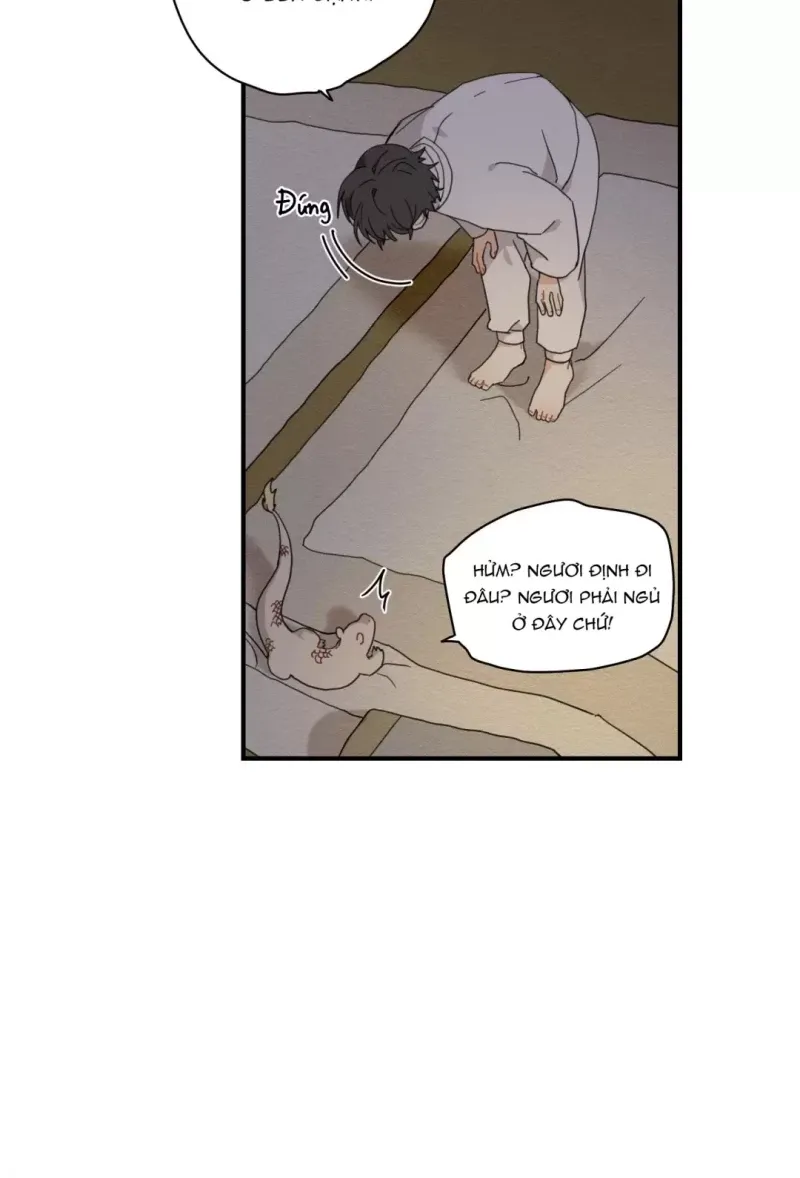 đọc truyện Dưới Tán Hoa Liên Kiều Chương 5.5 ảnh 21 tại Thiên Thai Truyện