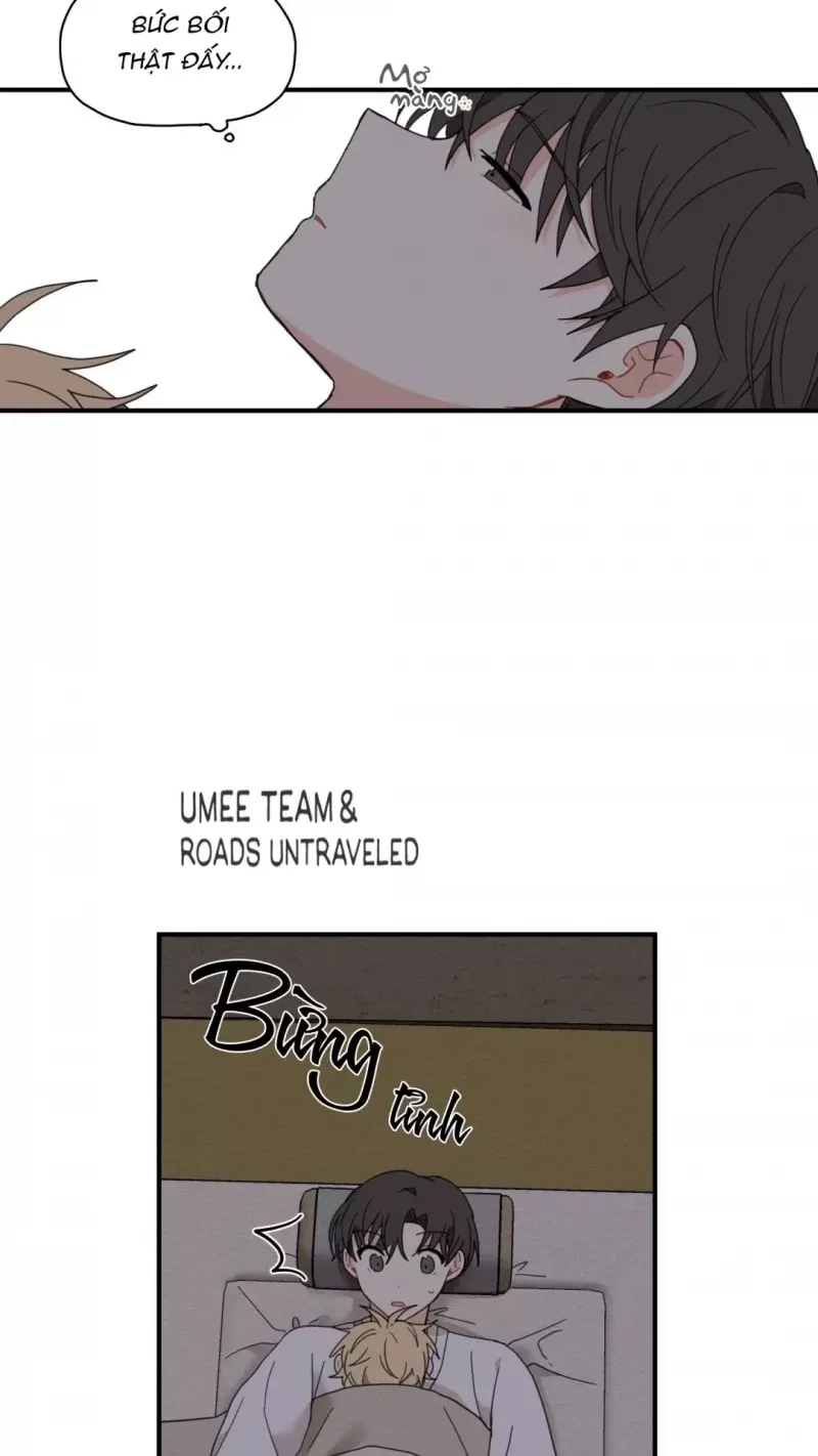 đọc truyện Dưới Tán Hoa Liên Kiều Chương 5.5 ảnh 27 tại Thiên Thai Truyện