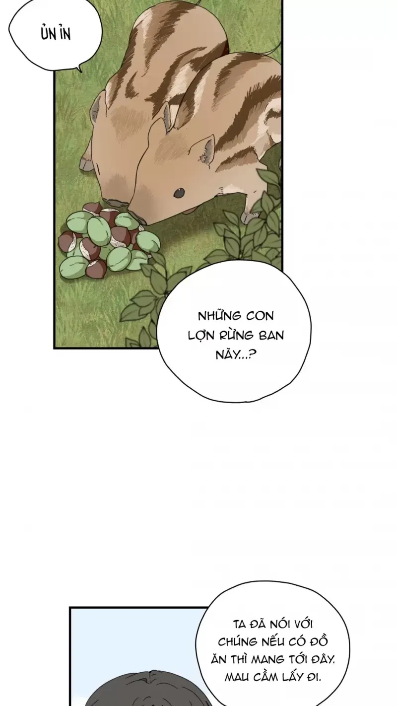 đọc truyện Dưới Tán Hoa Liên Kiều Chương 5.5 ảnh 11 tại Thiên Thai Truyện