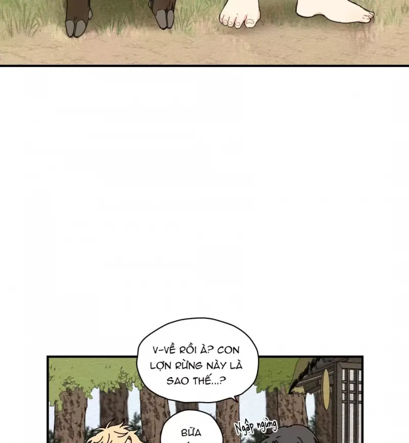 đọc truyện Dưới Tán Hoa Liên Kiều Chương 5 ảnh 13 tại Thiên Thai Truyện