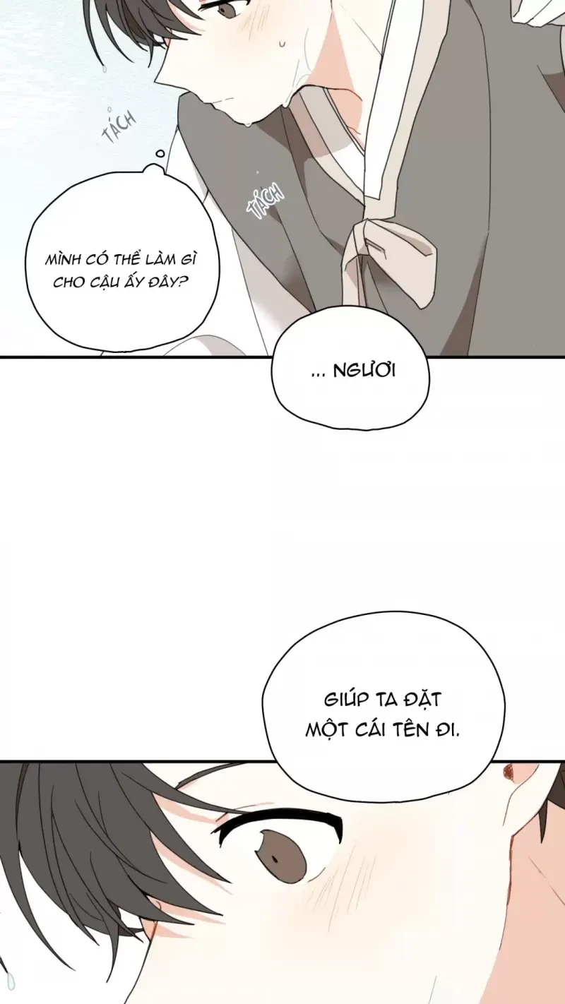 đọc truyện Dưới Tán Hoa Liên Kiều Chương 5 ảnh 32 tại Thiên Thai Truyện