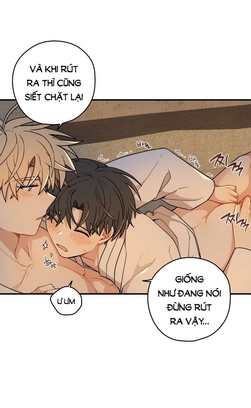 đọc truyện Dưới Tán Hoa Liên Kiều Chương 50.1 ảnh 13 tại Thiên Thai Truyện