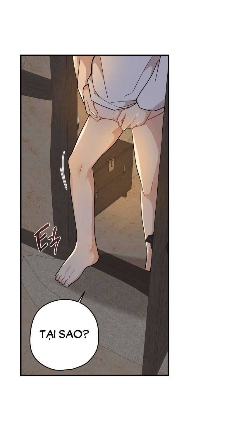 đọc truyện Dưới Tán Hoa Liên Kiều Chương 50.2 ảnh 28 tại Thiên Thai Truyện