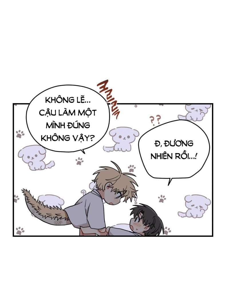 đọc truyện Dưới Tán Hoa Liên Kiều Chương 51.1 ảnh 6 tại Thiên Thai Truyện