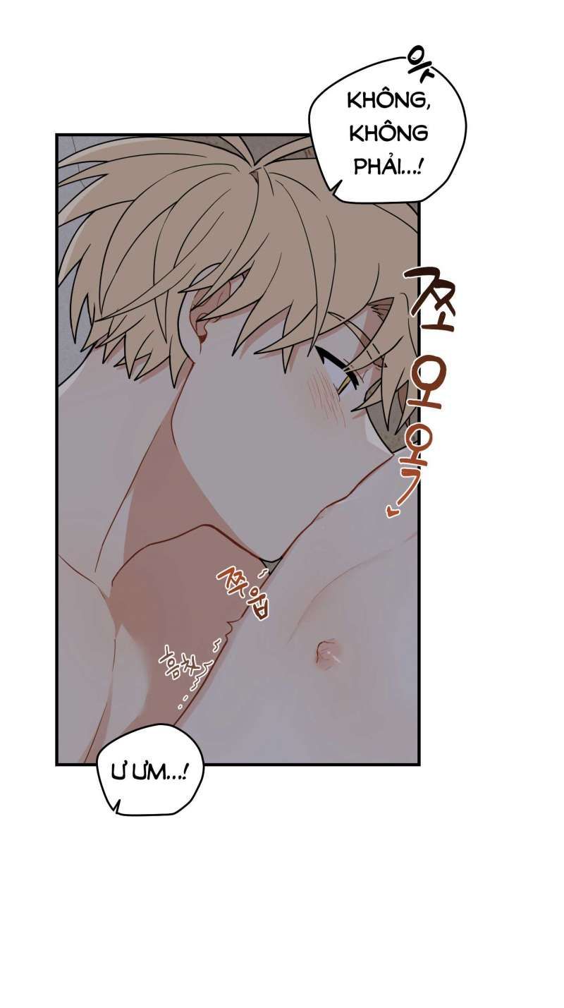 đọc truyện Dưới Tán Hoa Liên Kiều Chương 51.2 ảnh 5 tại Thiên Thai Truyện