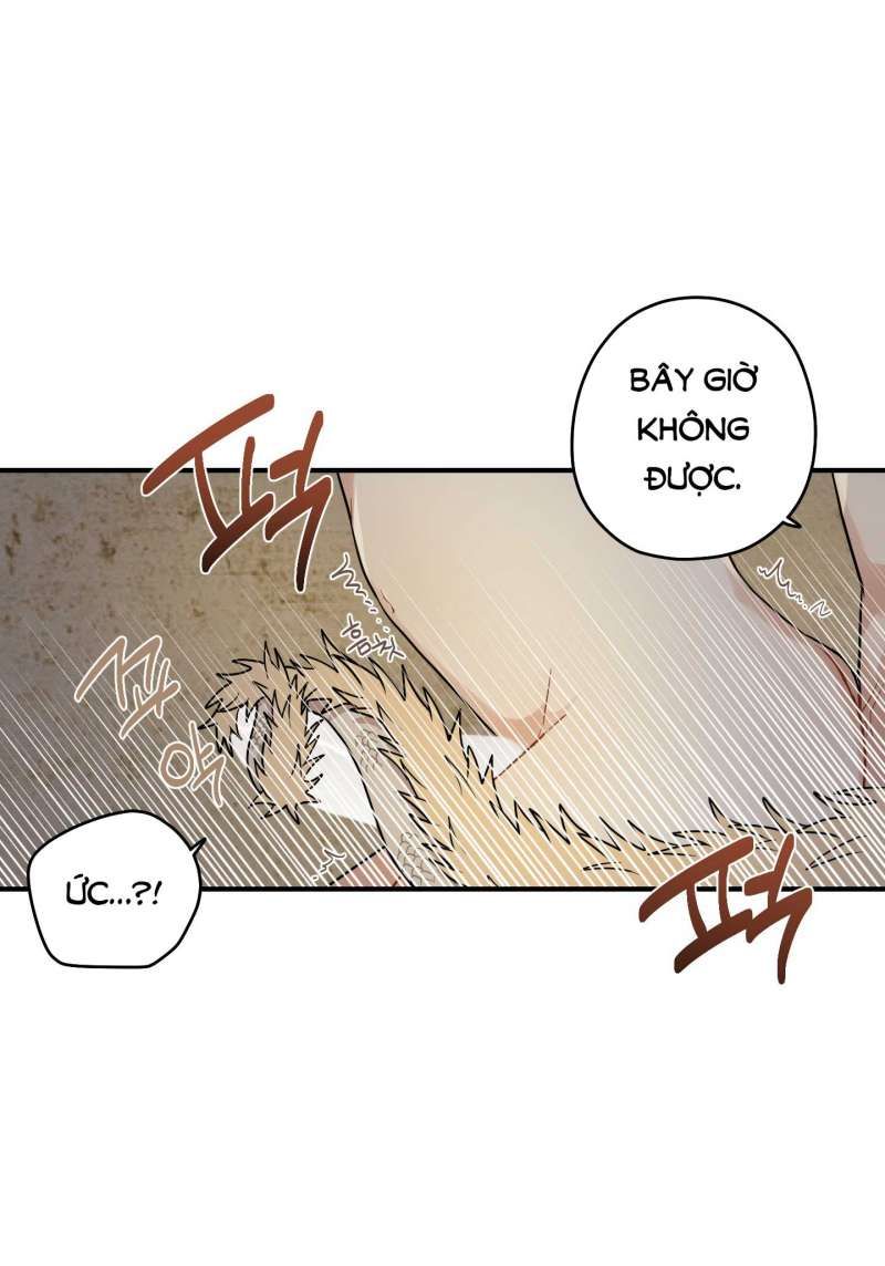 đọc truyện Dưới Tán Hoa Liên Kiều Chương 51.2 ảnh 35 tại Thiên Thai Truyện