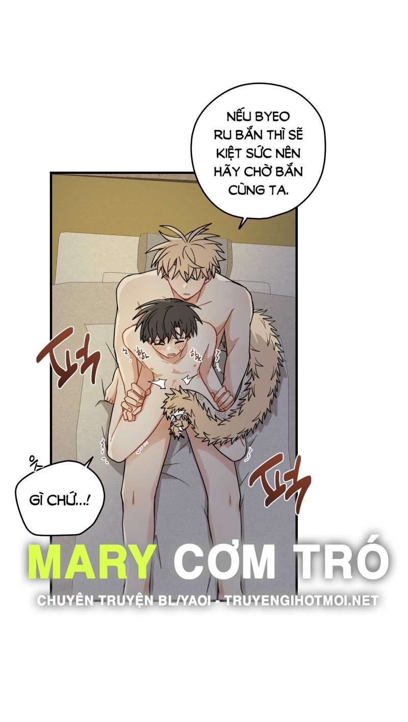 đọc truyện Dưới Tán Hoa Liên Kiều Chương 51.2 ảnh 36 tại Thiên Thai Truyện