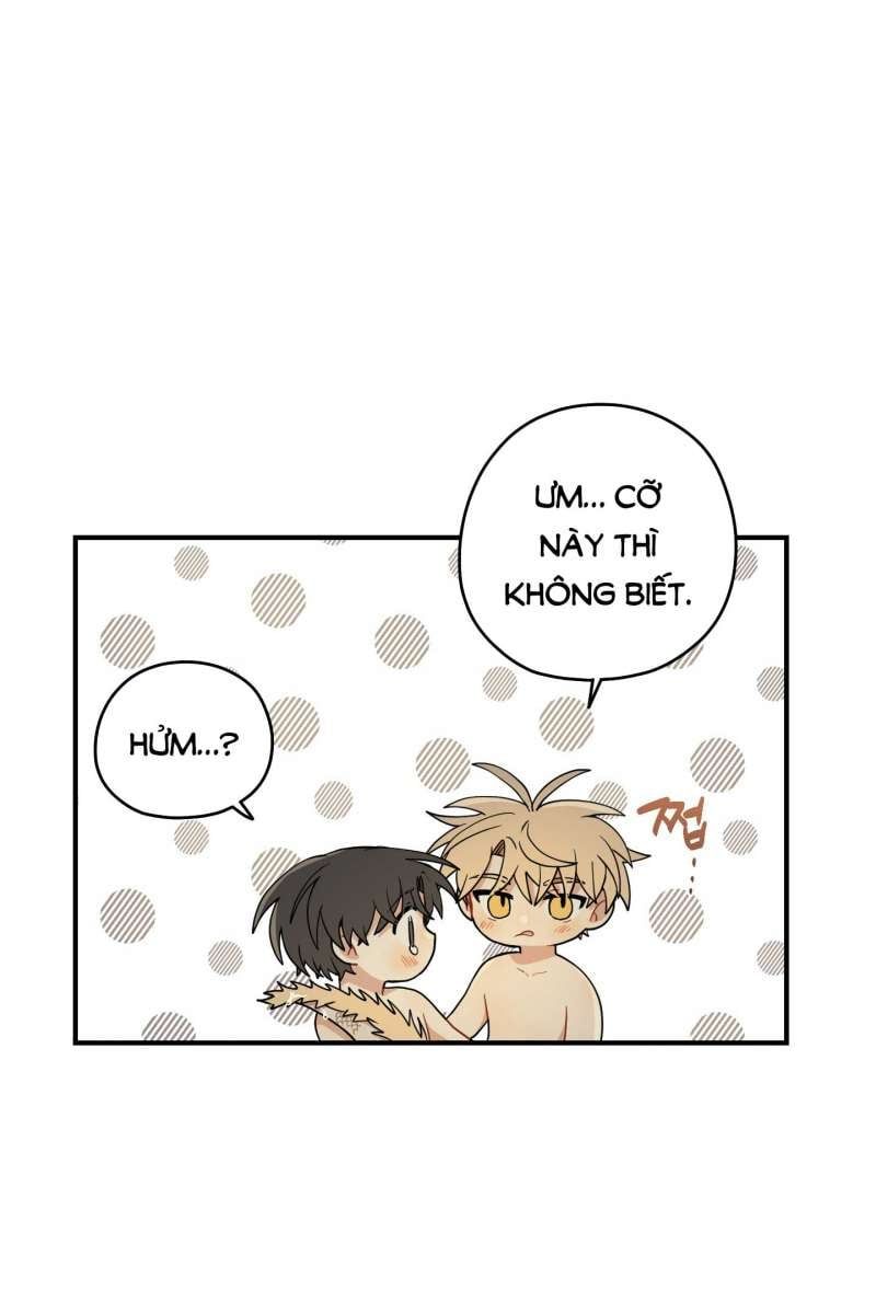 đọc truyện Dưới Tán Hoa Liên Kiều Chương 52.1 ảnh 12 tại Thiên Thai Truyện