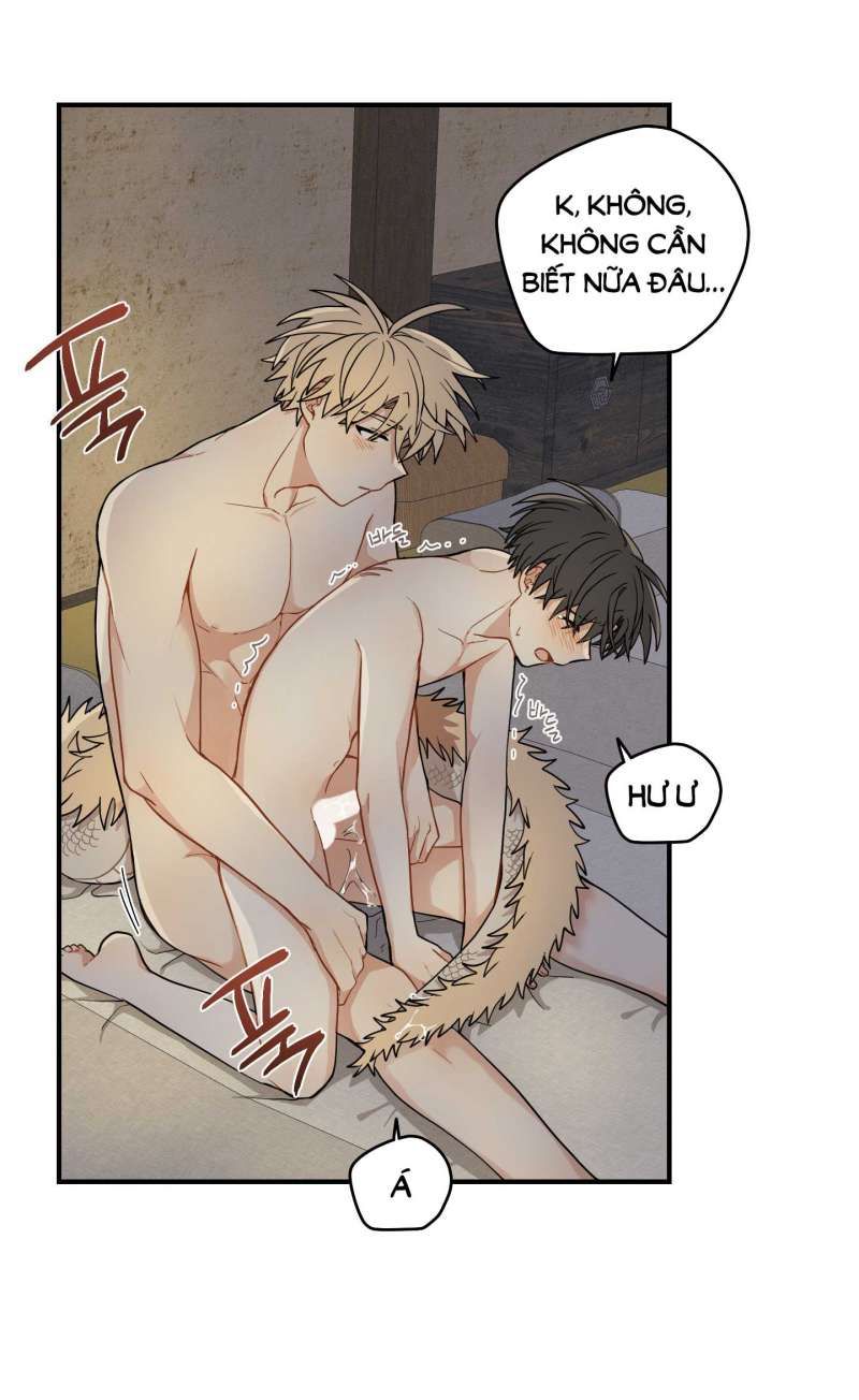 đọc truyện Dưới Tán Hoa Liên Kiều Chương 52.1 ảnh 14 tại Thiên Thai Truyện