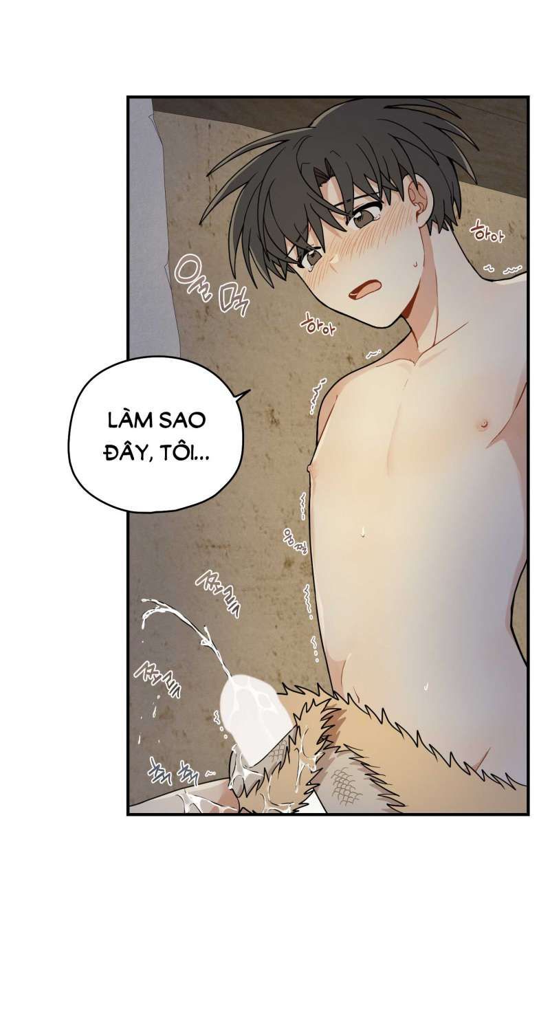 đọc truyện Dưới Tán Hoa Liên Kiều Chương 52.1 ảnh 6 tại Thiên Thai Truyện