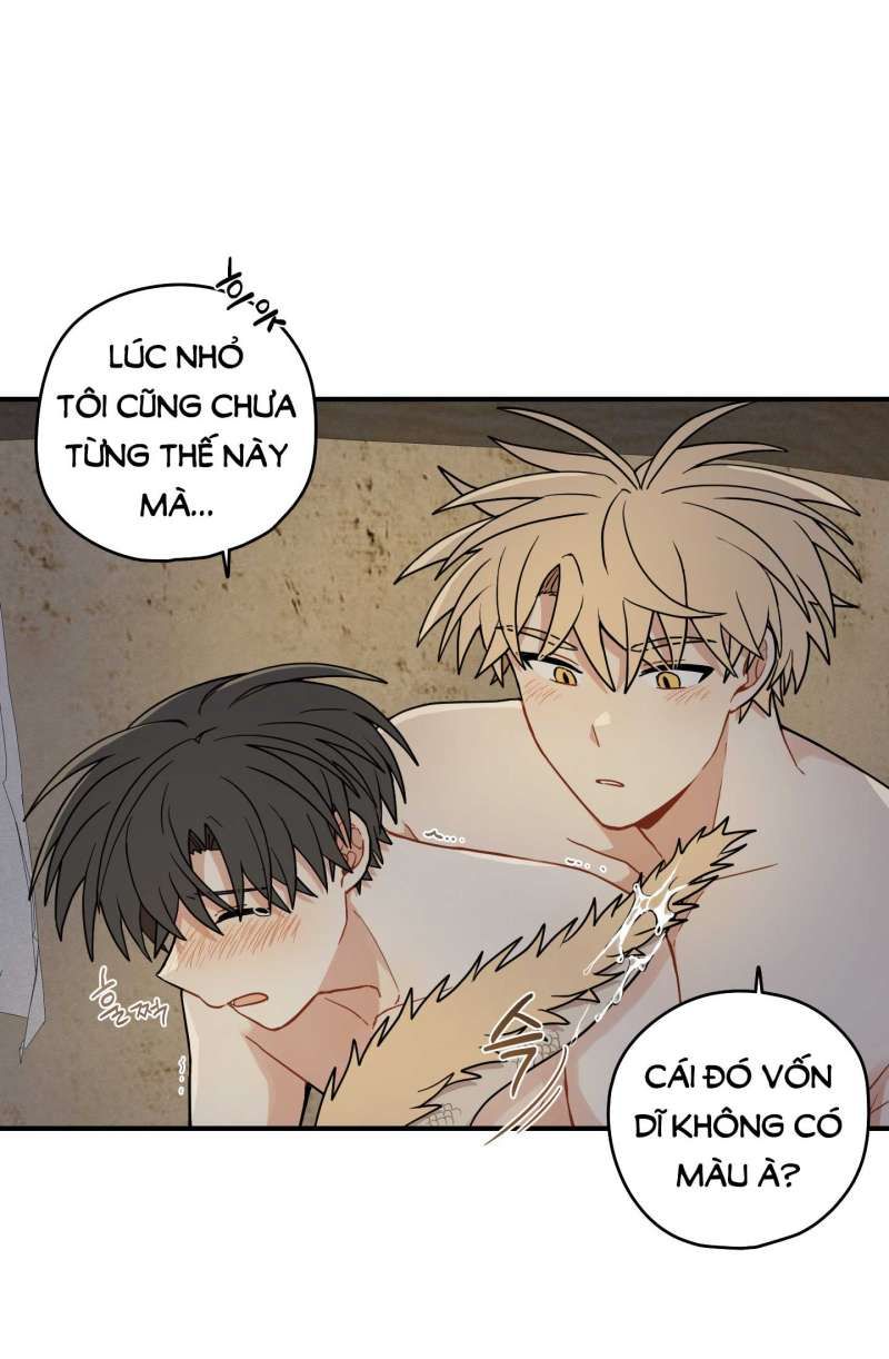 đọc truyện Dưới Tán Hoa Liên Kiều Chương 52.1 ảnh 7 tại Thiên Thai Truyện