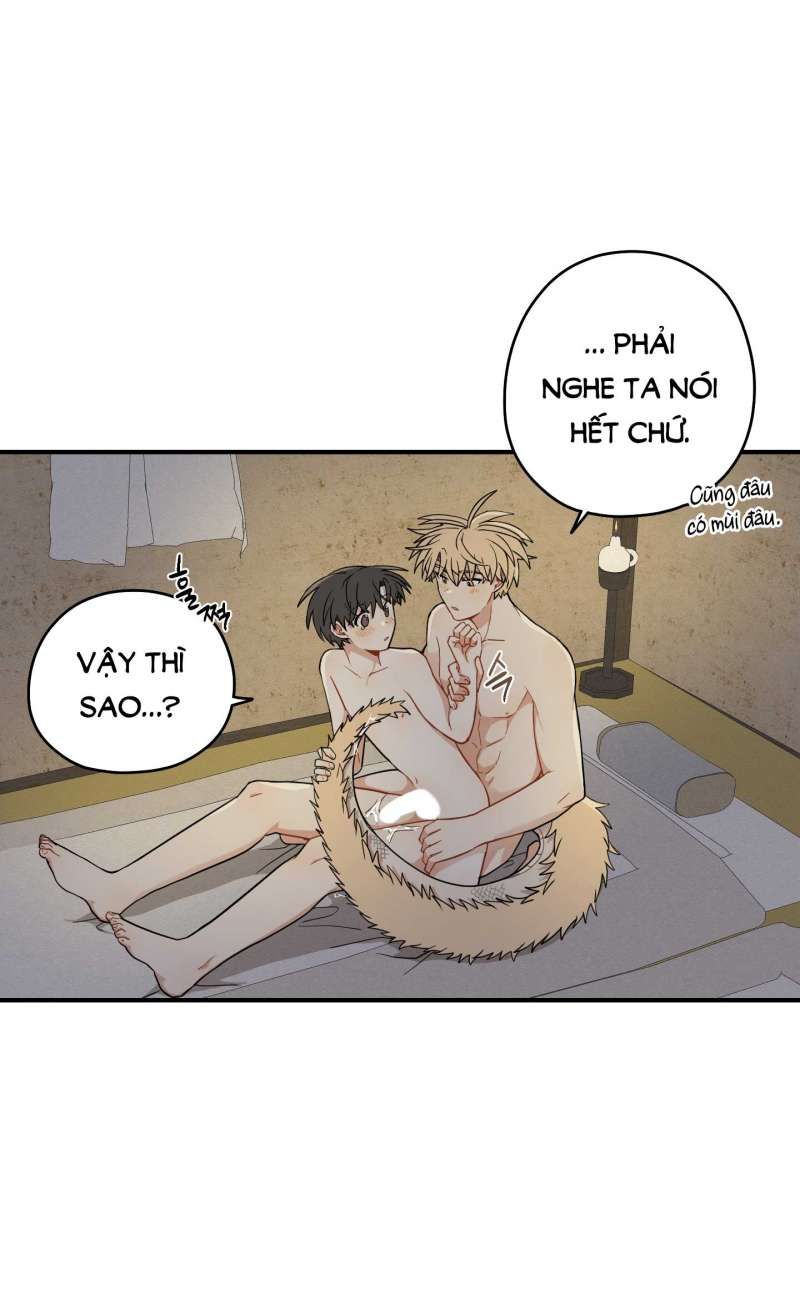 đọc truyện Dưới Tán Hoa Liên Kiều Chương 52.1 ảnh 11 tại Thiên Thai Truyện