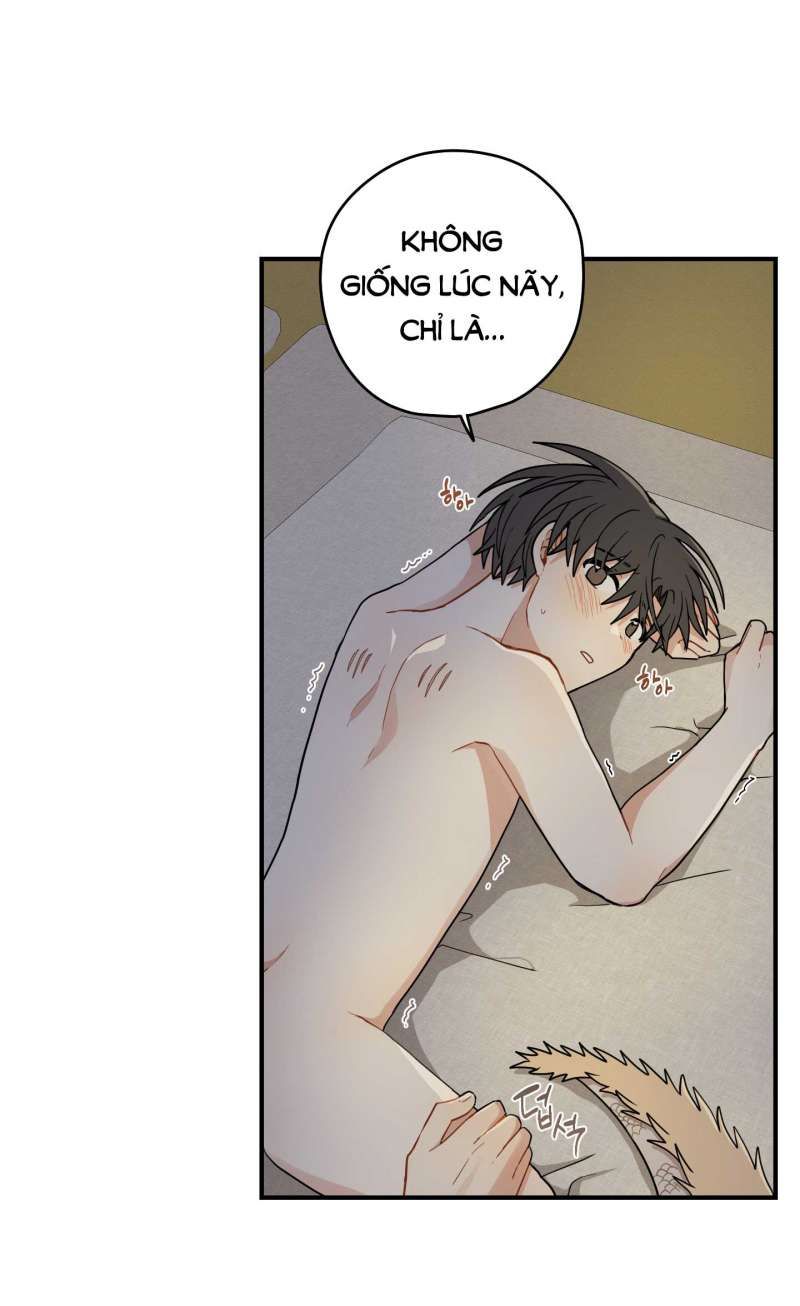 đọc truyện Dưới Tán Hoa Liên Kiều Chương 52.2 ảnh 13 tại Thiên Thai Truyện