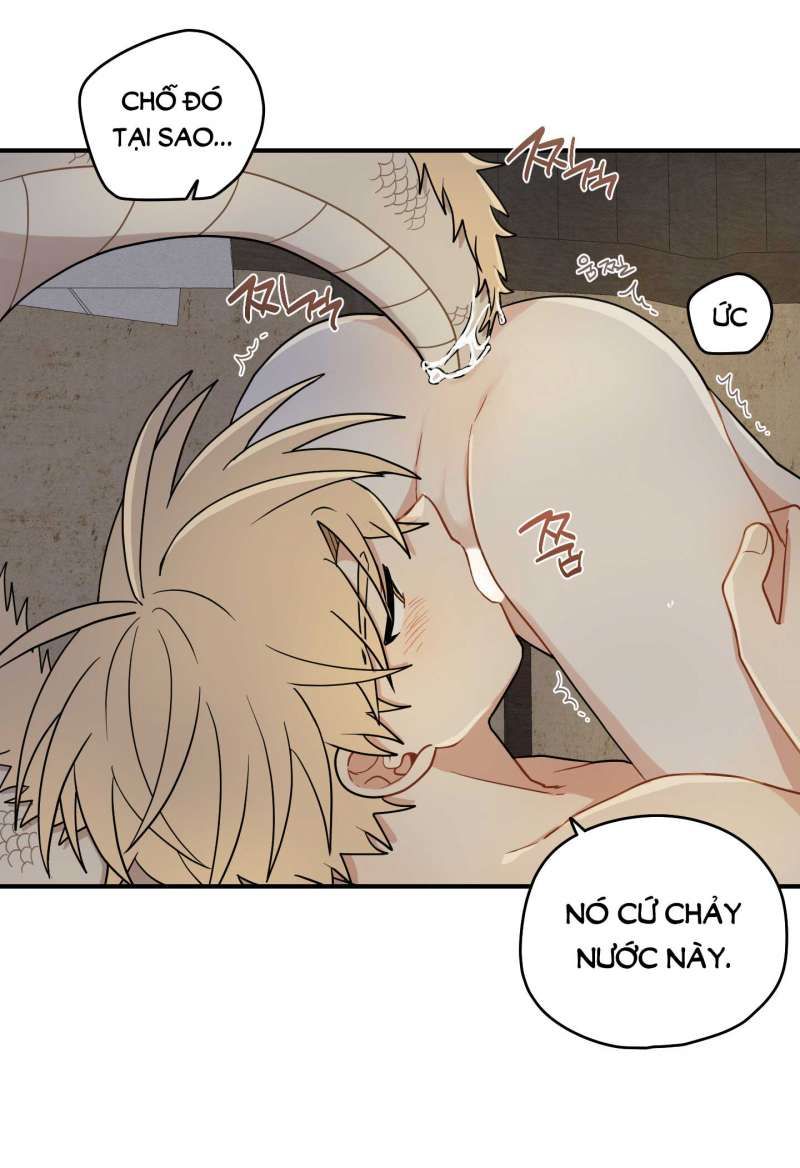 đọc truyện Dưới Tán Hoa Liên Kiều Chương 52.2 ảnh 28 tại Thiên Thai Truyện