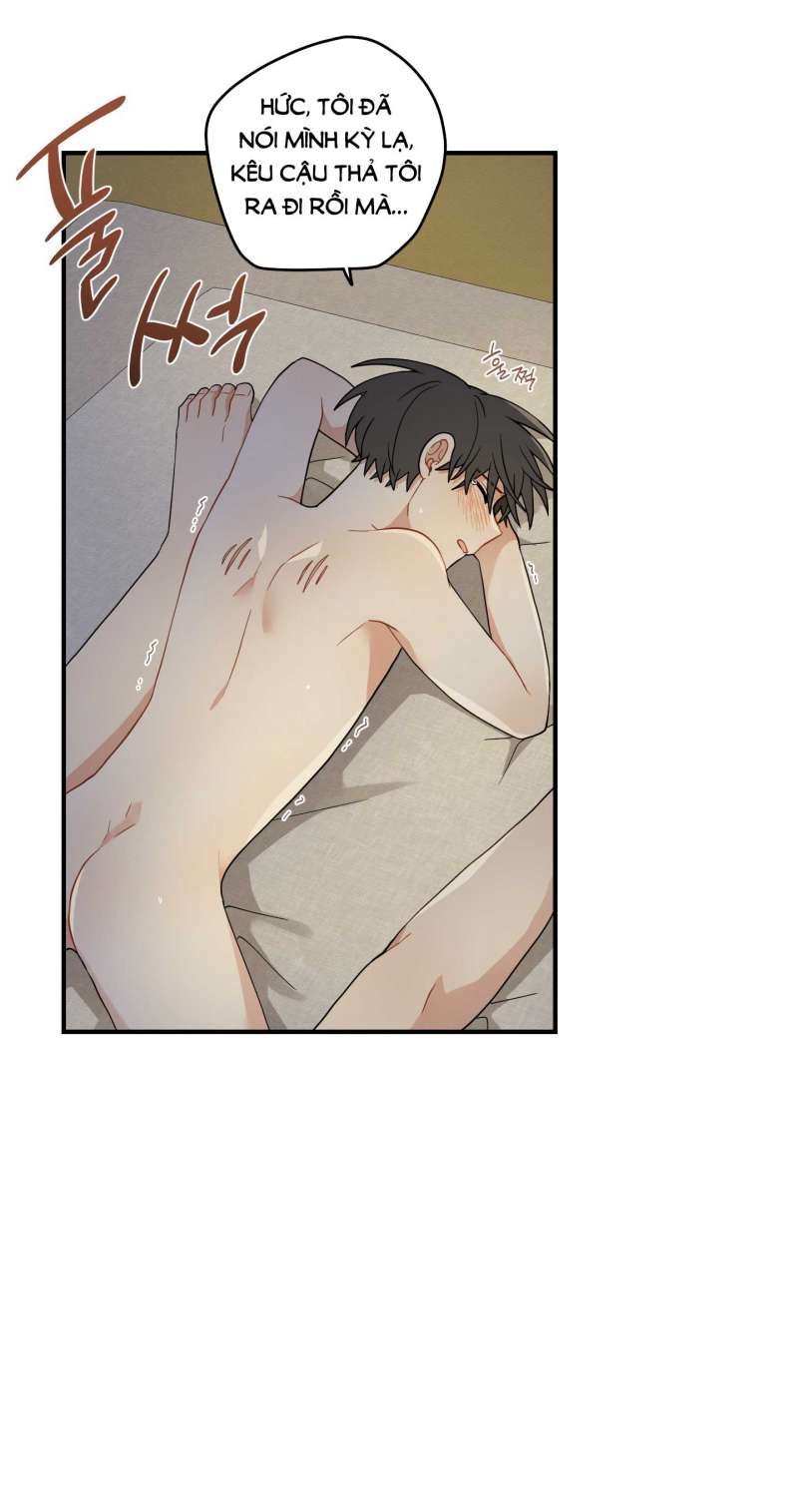 đọc truyện Dưới Tán Hoa Liên Kiều Chương 52.2 ảnh 40 tại Thiên Thai Truyện