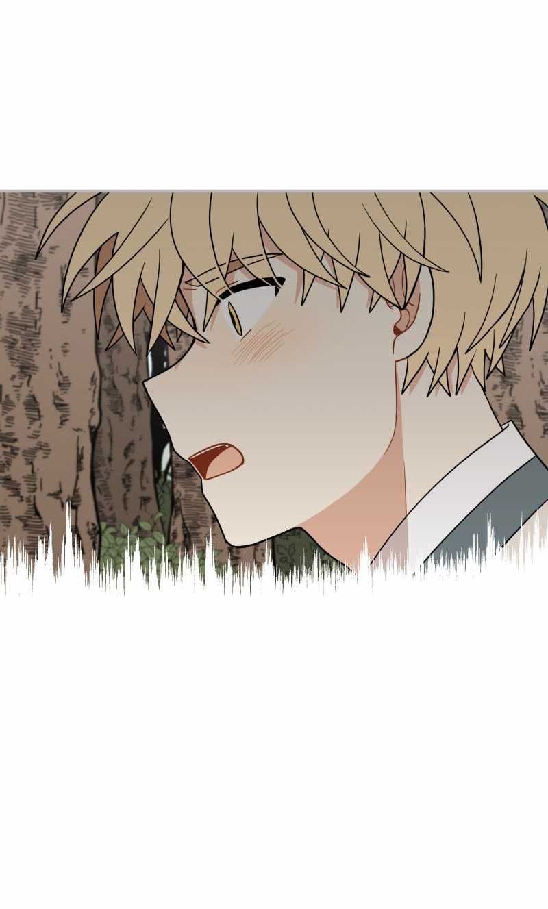 đọc truyện Dưới Tán Hoa Liên Kiều Chương 53.1 ảnh 17 tại Thiên Thai Truyện