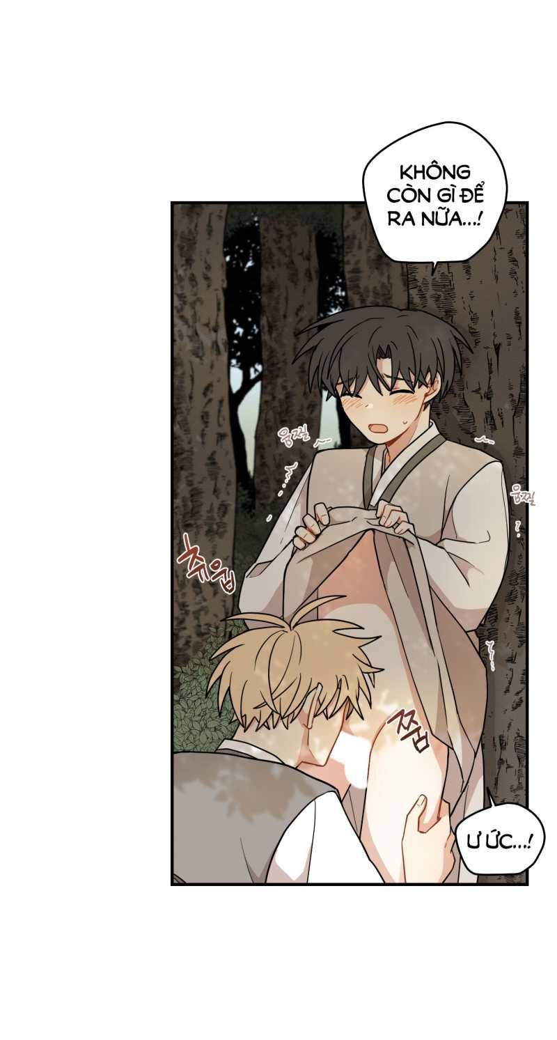 đọc truyện Dưới Tán Hoa Liên Kiều Chương 53.2 ảnh 12 tại Thiên Thai Truyện