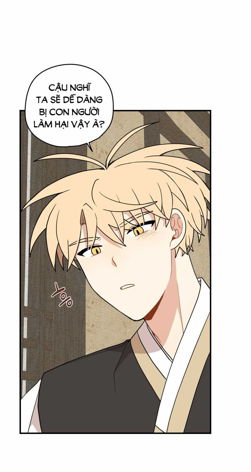 đọc truyện Dưới Tán Hoa Liên Kiều Chương 55.1 ảnh 10 tại Thiên Thai Truyện