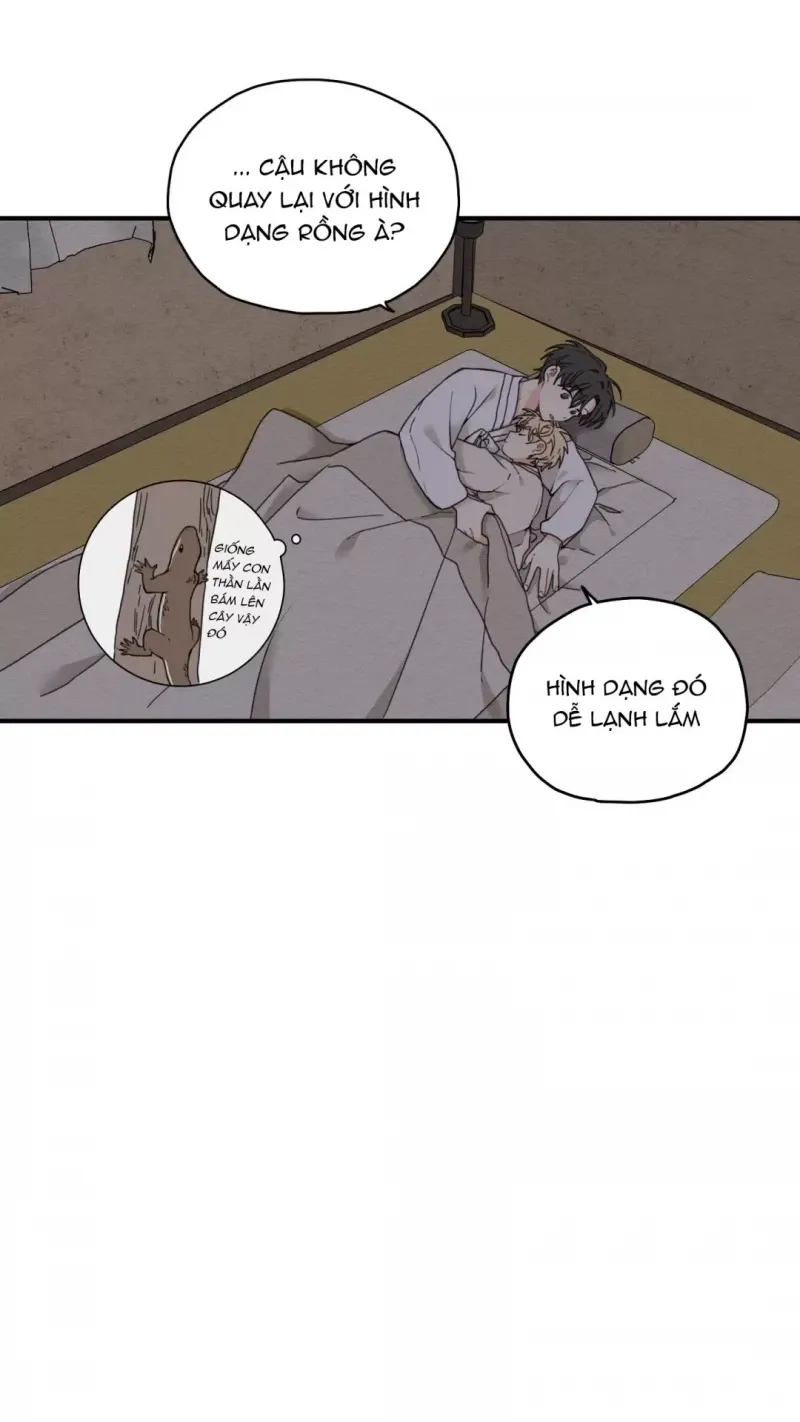 đọc truyện Dưới Tán Hoa Liên Kiều Chương 6.5 ảnh 17 tại Thiên Thai Truyện